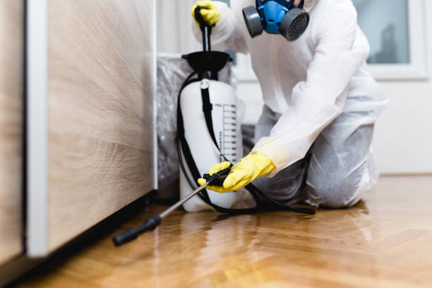 Best Pest Inspection Near Me  in North Yelm, WA