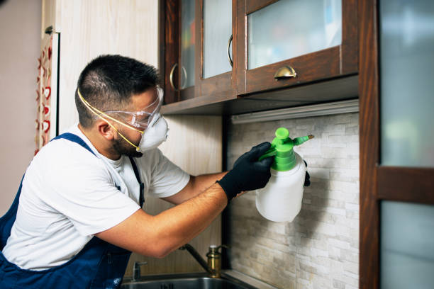 Best Pest Control Near Me  in North Yelm, WA