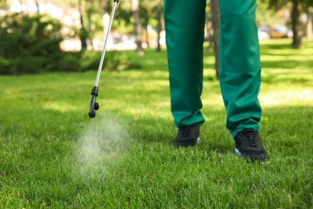  North Yelm, WA Pest Control Pros