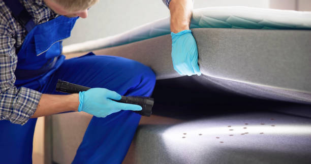 Best Affordable Pest Control Services  in North Yelm, WA