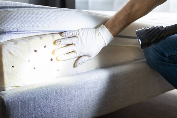 Best Bed Bug Extermination  in North Yelm, WA