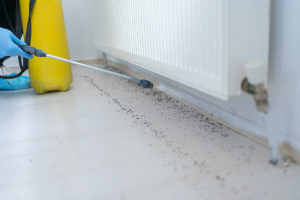 Best Best Pest Control Companies  in North Yelm, WA